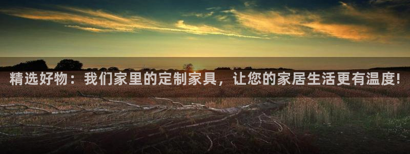 龙八国际娱乐pt