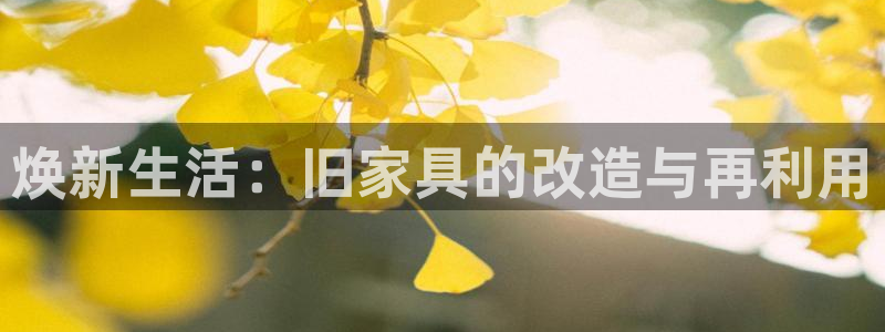 龙八国际娱手机