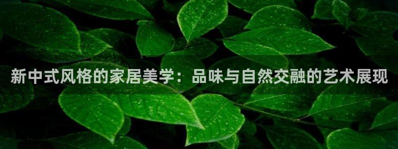 龙八国际官网入口