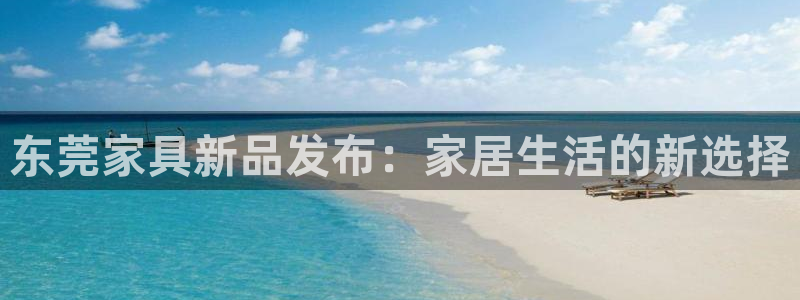 龙八国际手机下载安装：东莞家具新品发布：家居生活的新选择