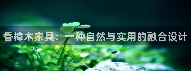 龙八国际客户端下载