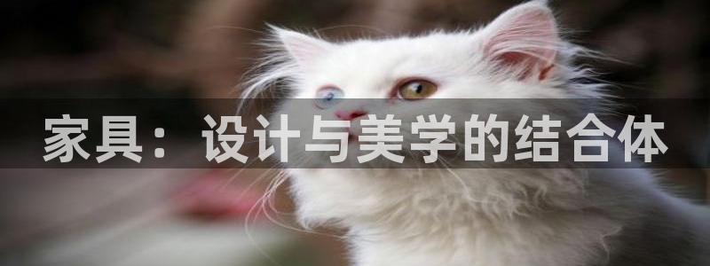 项目名称龙八国际